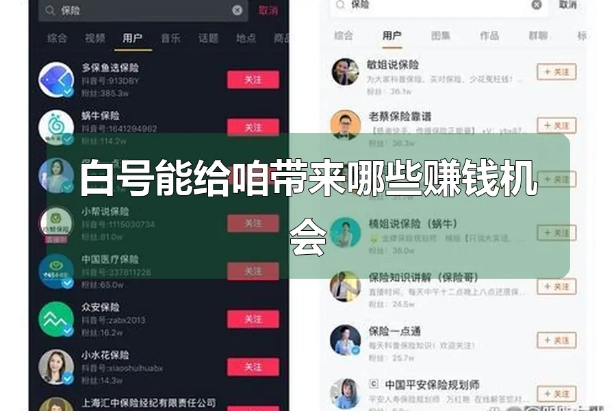 白号能给咱带来哪些赚钱机会